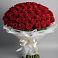 Букет 101 Красная роза Блэк Мэджик в Североморске