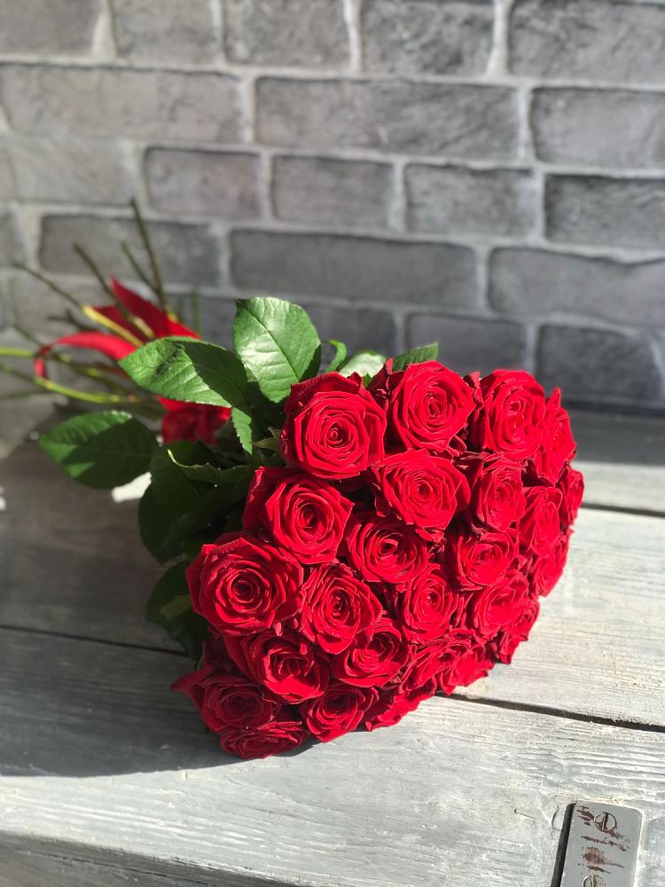 Букет Красные розы Фридом в Североморске