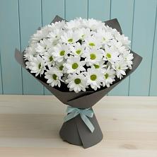 Букет цветов из:  Хризантемы в Североморске