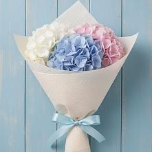 Букет цветов из:  Гортензия в Североморске