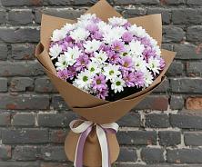 Букет цветов из:  Хризантемы в Североморске