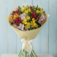 Букет цветов из:  Альстромерии в Североморске