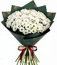 Букет цветов из:  Хризантемы в Североморске