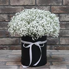 Цветочная композиция из Гипсофила в шляпной коробке в Североморске
