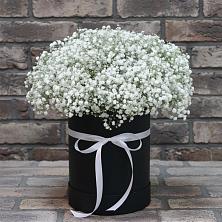 Цветочная композиция из Гипсофила в шляпной коробке в Североморске