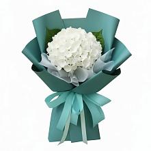 Букет цветов из:  Гортензия #REPLACE_PRED# Североморске